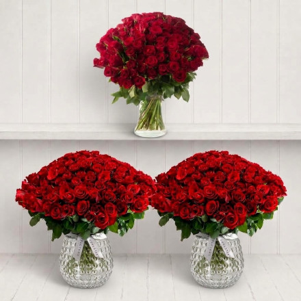 A Room Full of 500 Red Roses