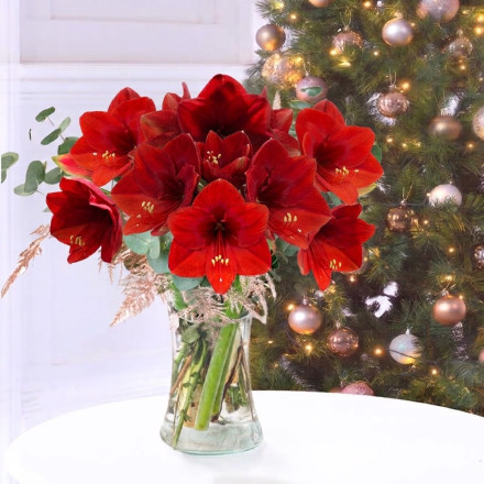 Amaryllis Bouquet