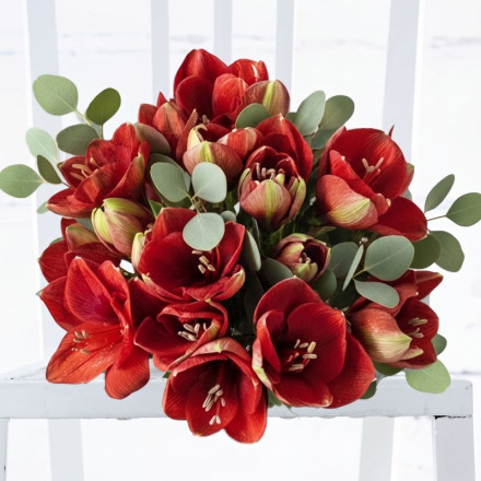 Amaryllis Bouquet