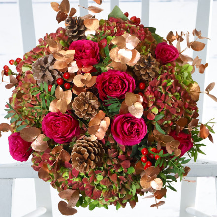 Christmas Hydrangea