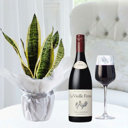 Gift Wrapped Snake Plant & La Vielle Ferme Red (75cl)