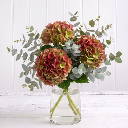Simply Hydrangeas