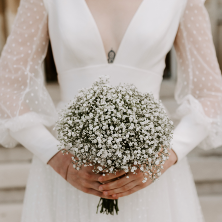 Gypsophila Collection