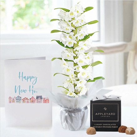 Gift Wrapped White Scented Dendrobium Orchid (50cm), 12 Truffles & New Home Card