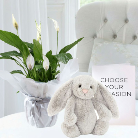 Peace Lily Plant, Bashful Silver Bunny (31cm) & Card
