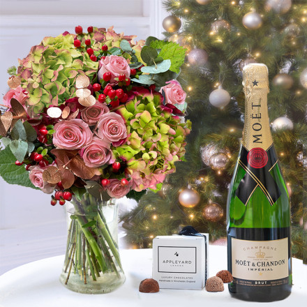 Christmas Hydrangea, MoÃ«t & Chandon & 6 Mixed Truffles