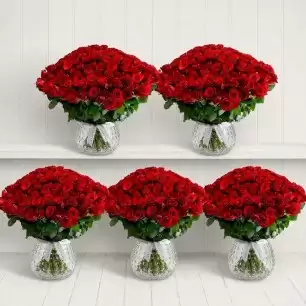 A Room Full of 1,000 Red Roses