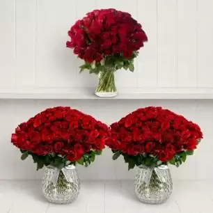 A Room Full of 500 Red Roses