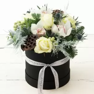 Frosty Mist Hatbox
