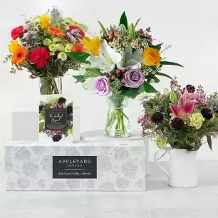 Seasonal Subscription Offer