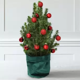 Medium Christmas Tree (50-55cm) with 14 Christmas Red Baubles & Lights