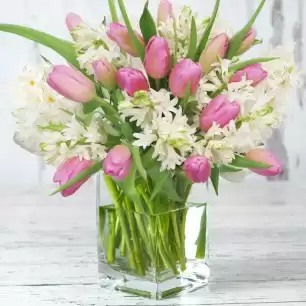 Tulips & Hyacinths
