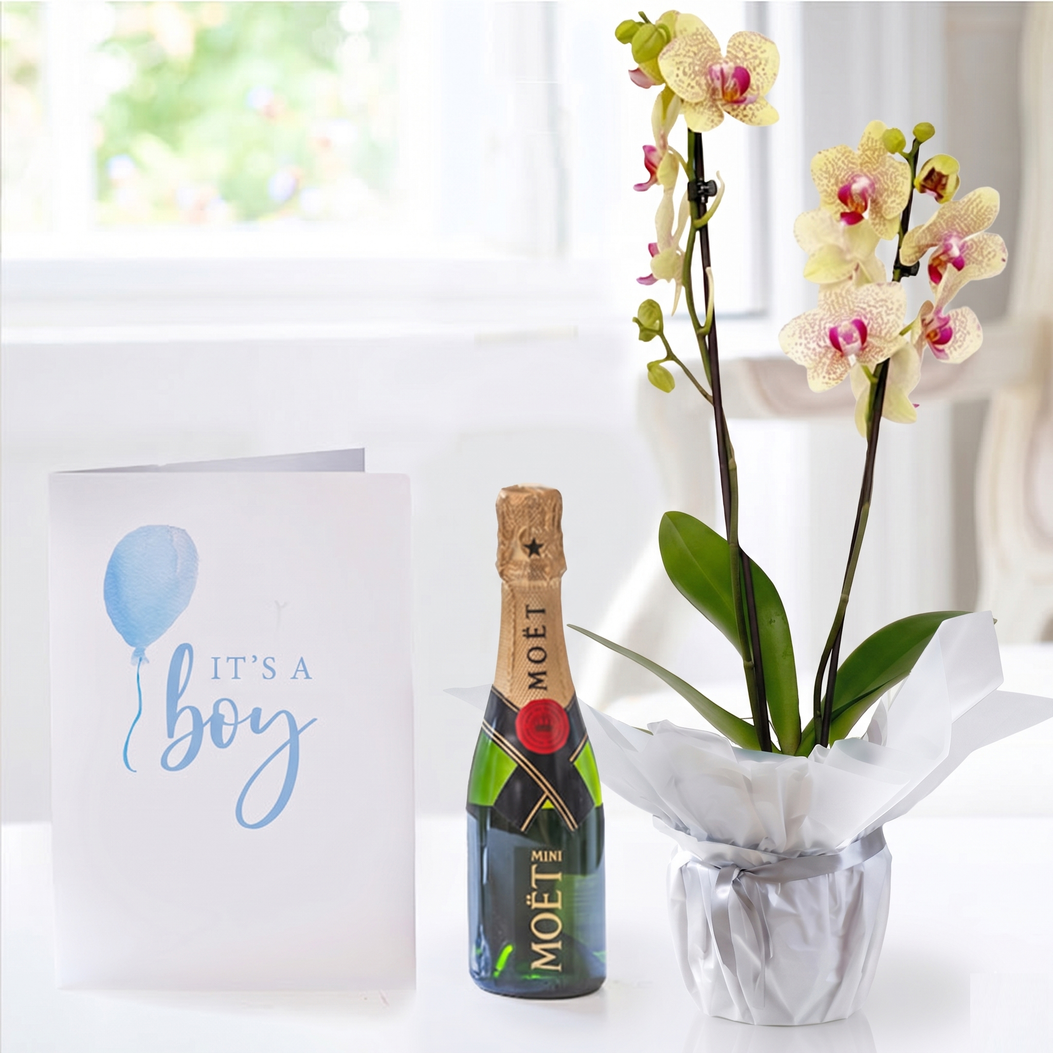 New Baby Plant Giftset - Orange Orchid Plant, Mini Moet & New Baby Card - Luxury New Baby Plant Gifts - Plant Gift Set - Next Day Plant & Gift