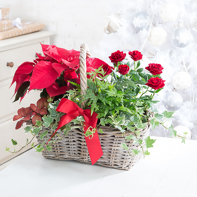 Large Seasonal Flowering Basket