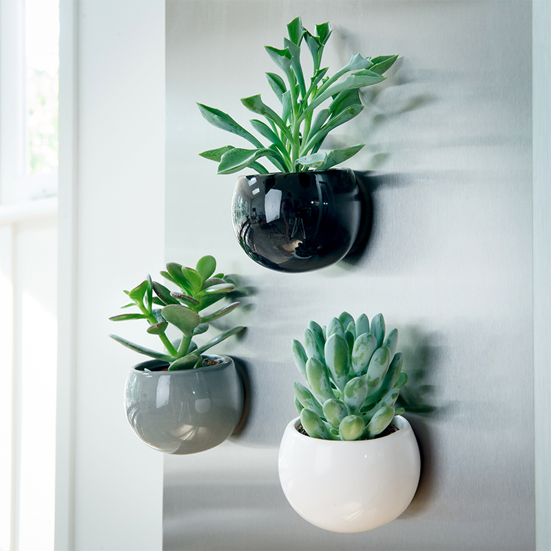 Magnetic Succulent Trio