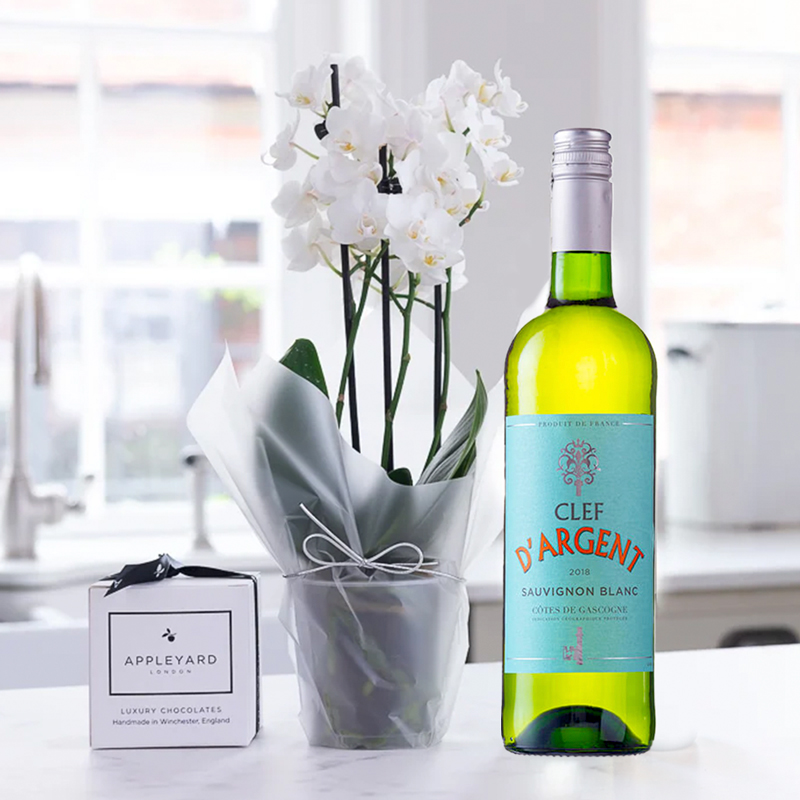 Mini White Orchid, Clef d'Argent Sauvignon Blanc & 6 Mixed Truffles - Plant Gift Set - Next Day Plant & Gift Delivery UK - Appleyard London