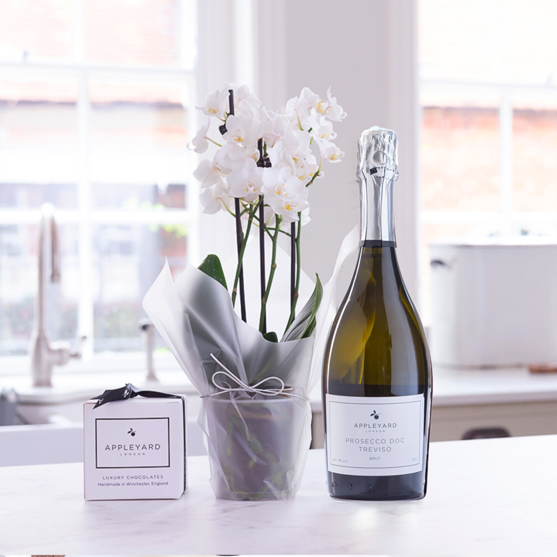 Mini Orchid, Prosecco & 6 Mixed Truffles - White - Orchids - Next Day Plant & Gift Delivery UK - Appleyard London