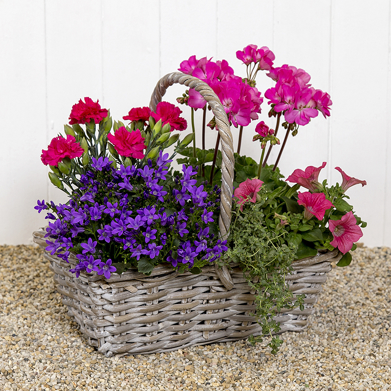 Mixed Outdoor Basket