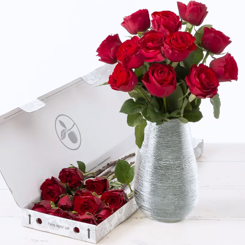 - Red - Gift Idea