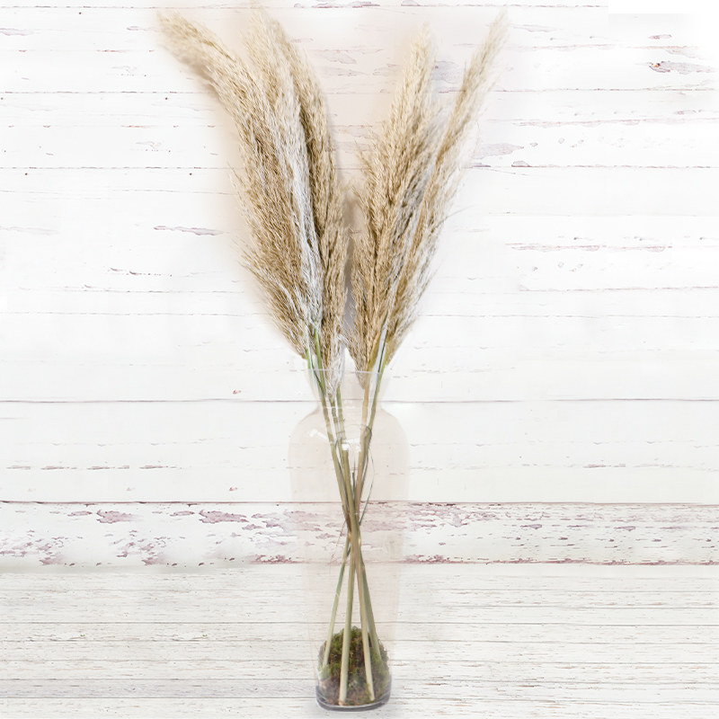 Pampas Grass Bouquet In A Vase - Hand-Tied By Luxury Florist - Dried Flowers - Flower Bouquet - Next Day Flower Delivery UK - Appleyard London