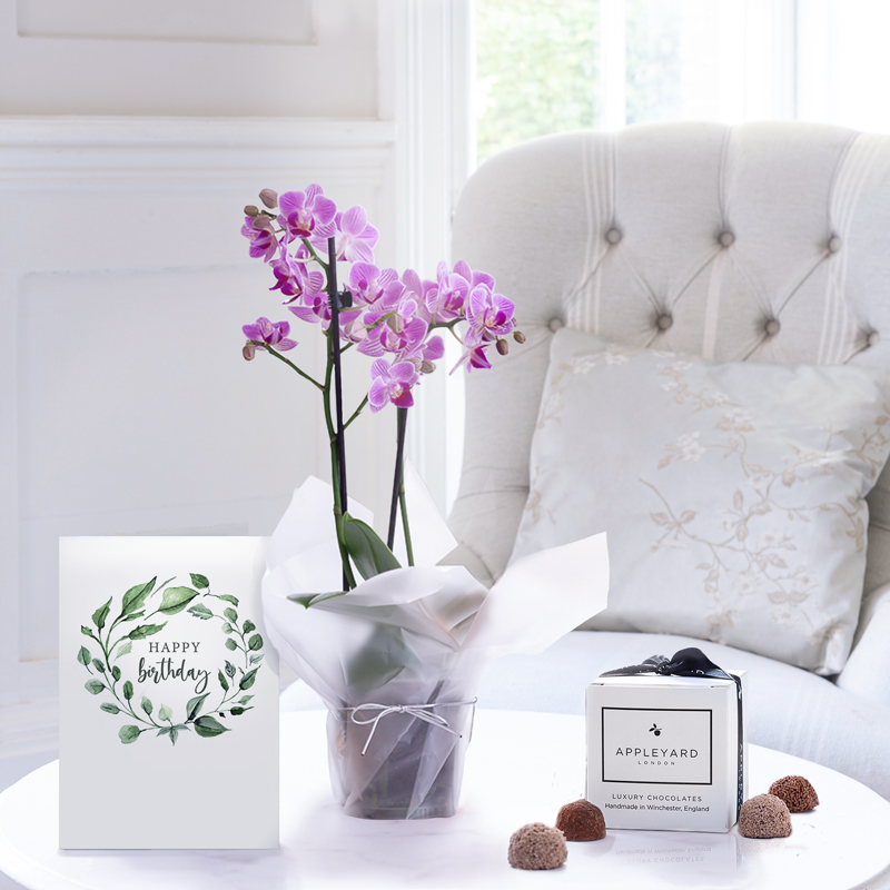 Mini Pink Orchid, 6 Mixed Truffles & Birthday Card - Plant Gift Set - Next Day Plant & Gift Delivery UK - Appleyard London