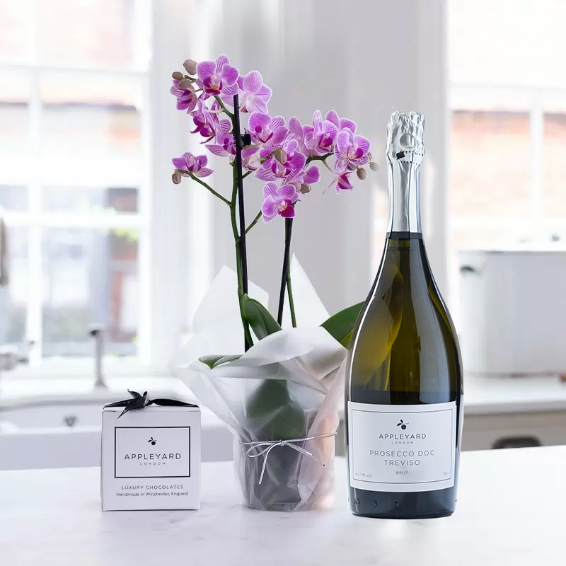 Mini Pink Orchid, Prosecco & 6 Mixed Truffles - Plant Gift Set - Next Day Plant & Gift Delivery UK - Appleyard London