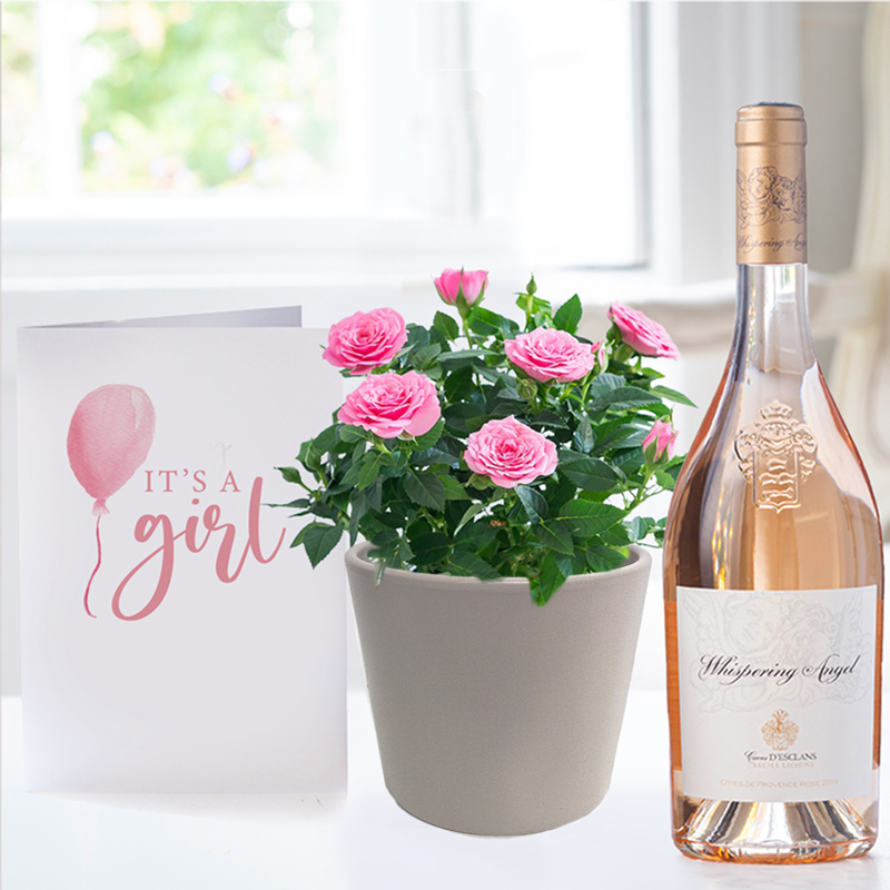 New Baby Plant Giftset - Pink Rose Plant, Whispering Angel & New Baby Card - Luxury New Baby Plant Gifts - Plant Gift Set - Next Day Plant & Gift