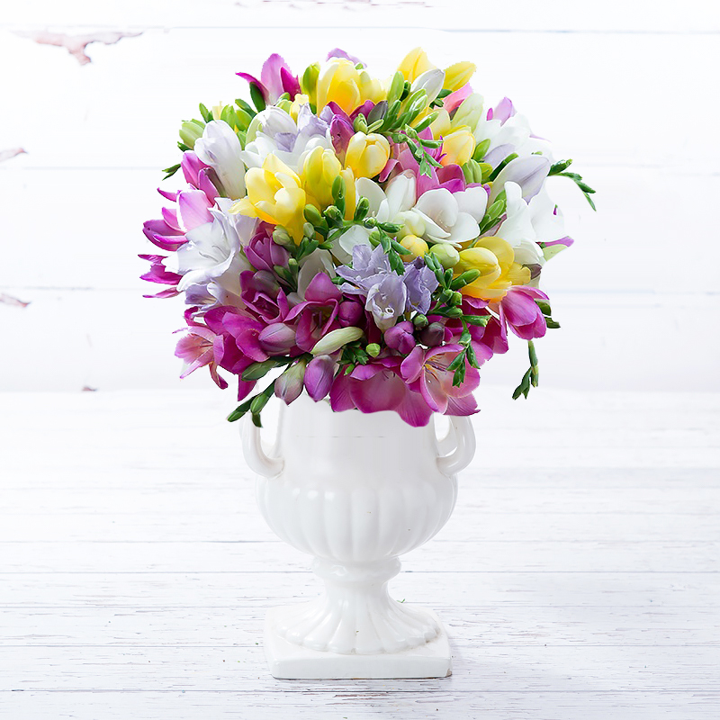 Mixed Freesia Bouquet