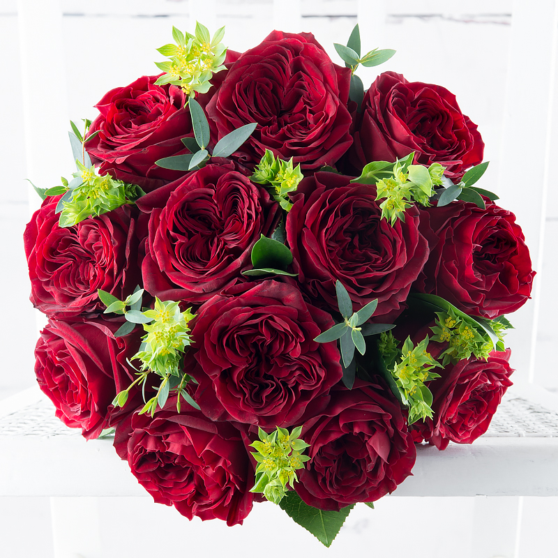 Red Garden Roses