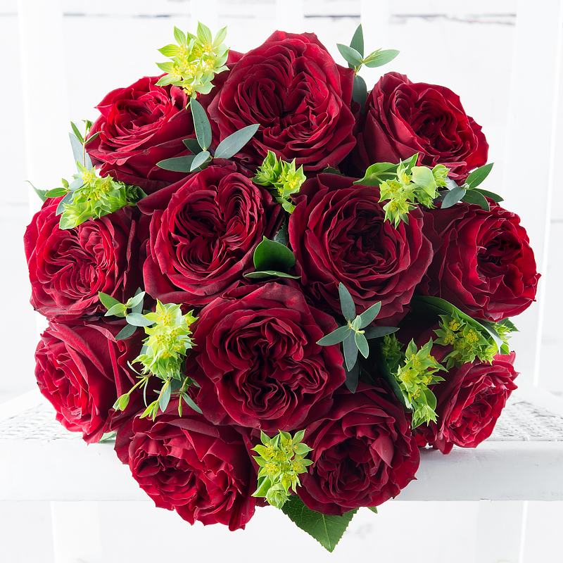 Red Garden Roses & Cousino Macul Cabernet Sauvignon 2014