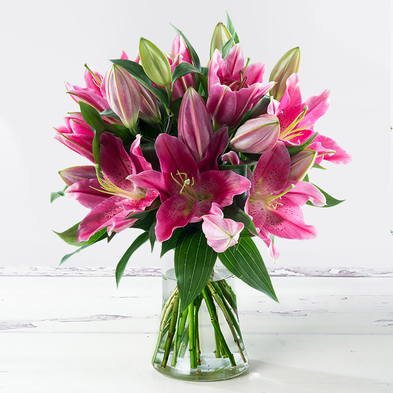 Pink Oriental Lilies - Fragrant Stargazer Lily Bouquet - Flower Bouquet - Next Day Flower Delivery UK - Appleyard London