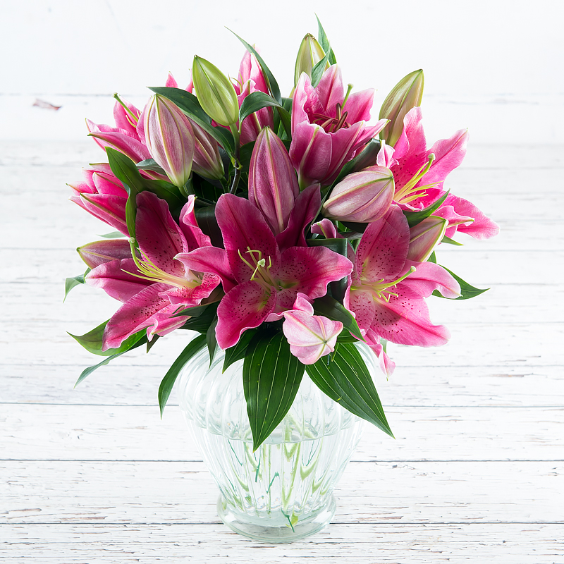 Stargazer Lily Bouquet