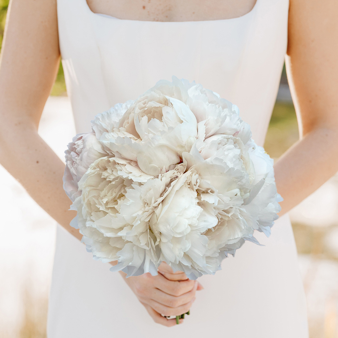 Pink Peony & Gypsophila Collection - Pink - Wedding Flower Bouquet - Last Minute Wedding Flowers Delivery UK - Appleyard London