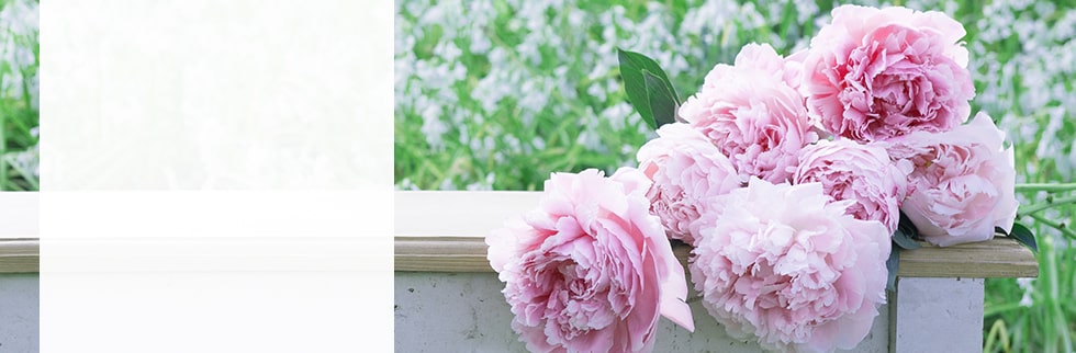 Perfect Peonies Perfect Peonies