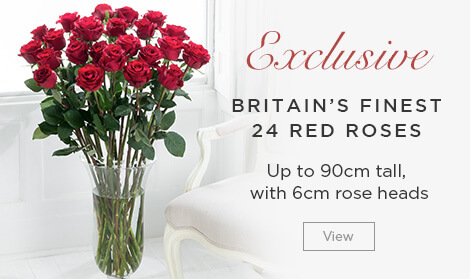 Spring Flowers | Spring Flower Bouquets Delivered UK | Appleyard London