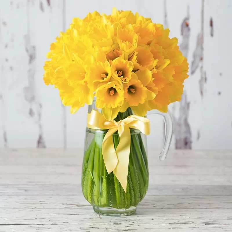 A bouquet of yellow daffodils displayed in a vase.