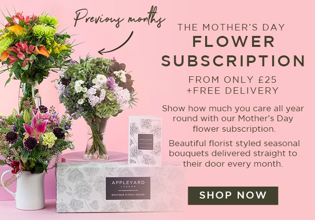 Mother's Day Gift Subscription