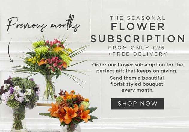 Seasonal Gift Subscription
