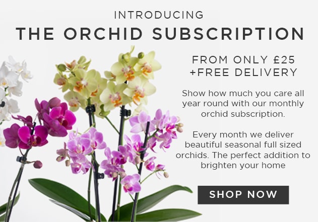 Orchid Subscription