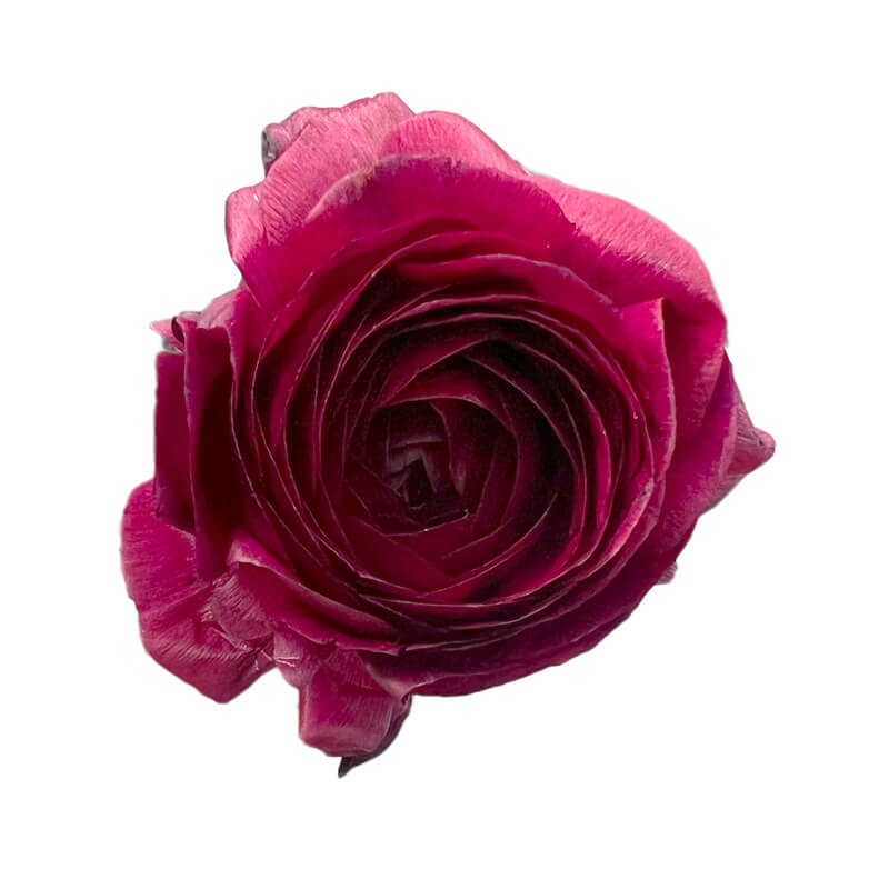 February Subscription - Enchantment