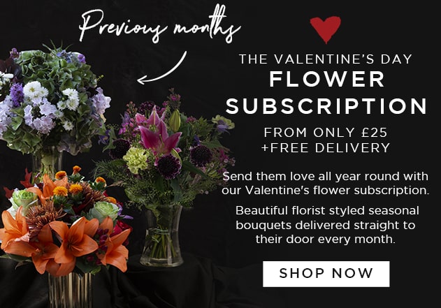 Valentine's Day Gift Subscription