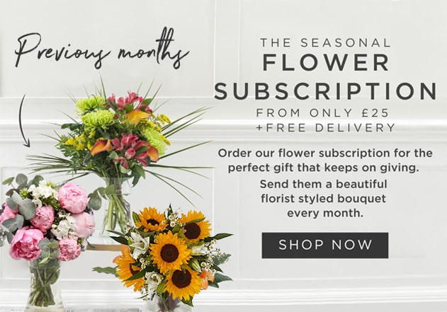 Seasonal Gift Subscription