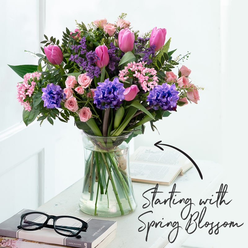 Seasonal Gift Subscription