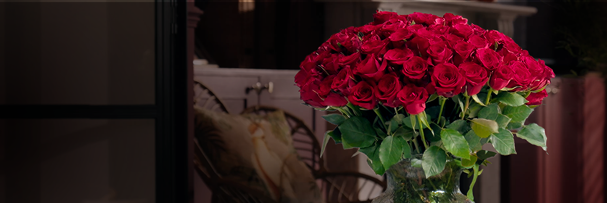 Red Roses