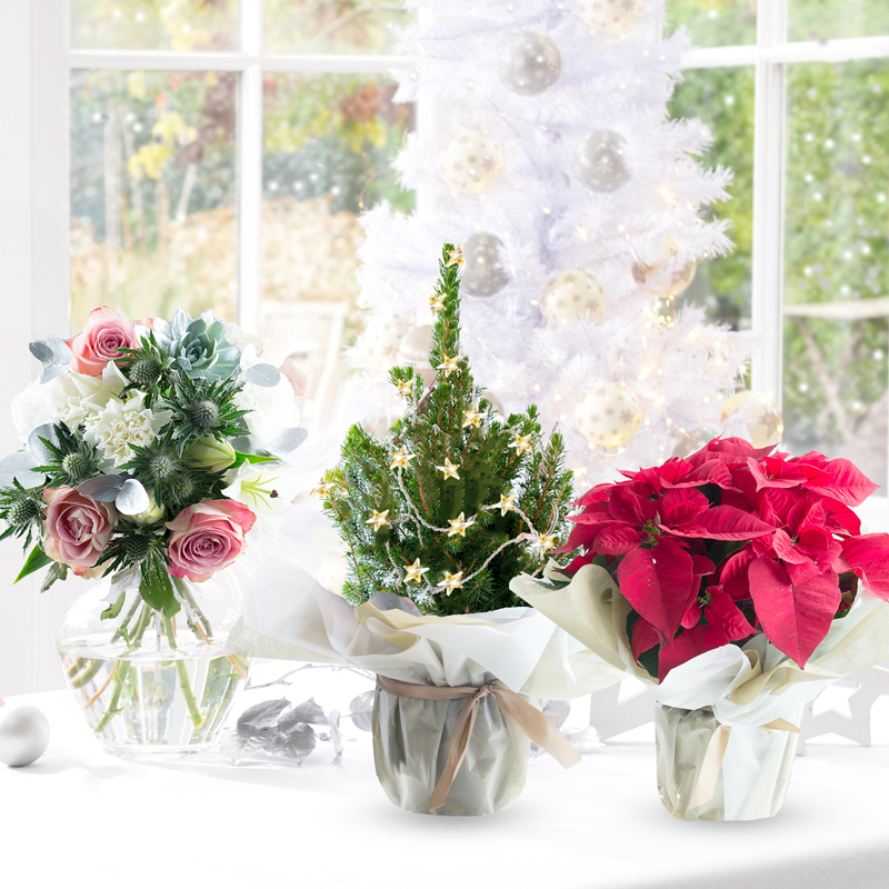 12 Days of Christmas Competition