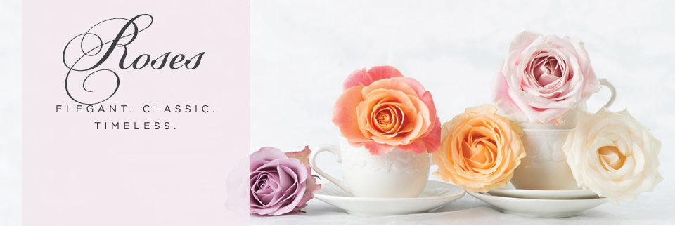 Luxury Roses Luxury Roses