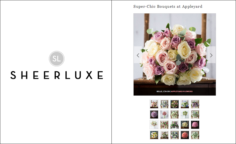 Sheer Luxe Sheer Luxe