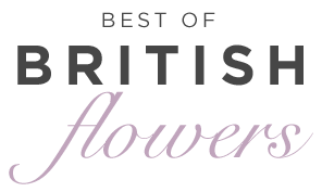 Summer Flowers Best of British Flowers