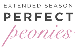 Extended Season: Perfect Peonies Extended Season: Perfect Peonies